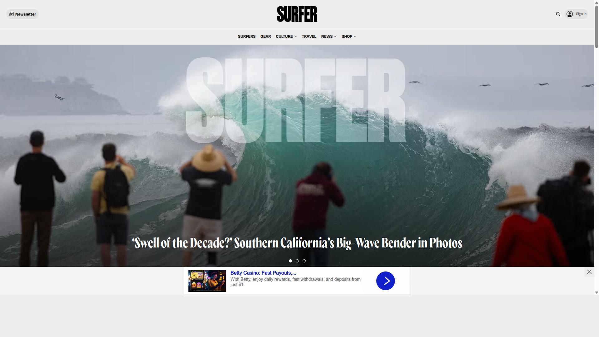 Surfer website